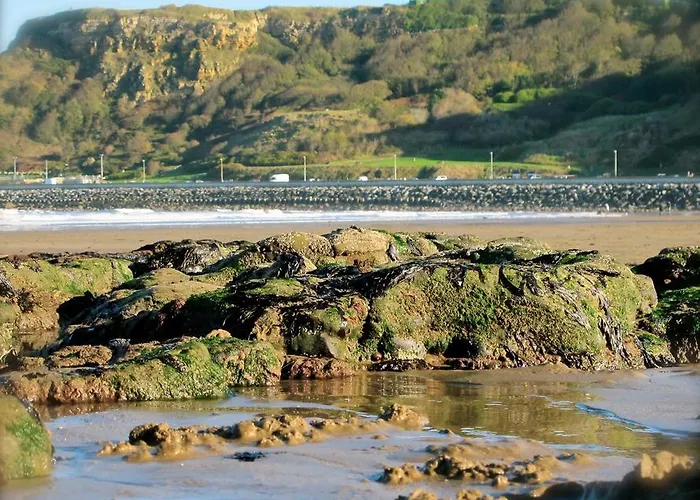 招待所 亚特兰大酒店 4*